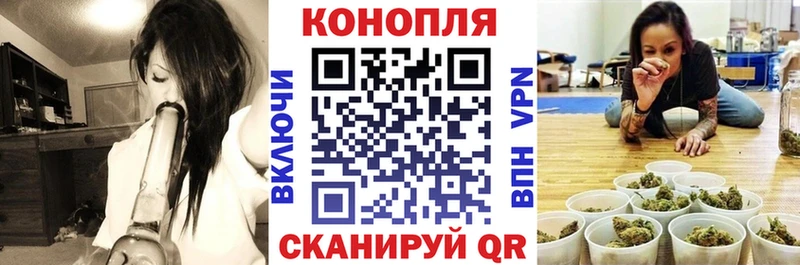 Марихуана сатива  Купить  Тында 